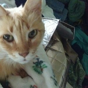 Meet your Posher, Leslie